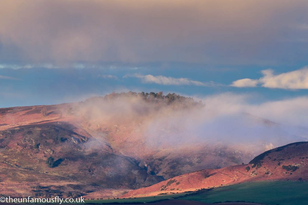 Parthshire morning landscaps