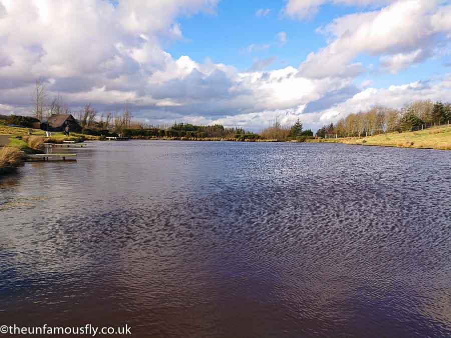 A very blustery Burnhouse on Sunday, I had it largely to myself