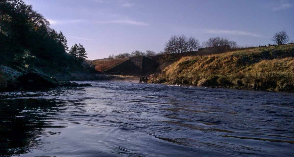 Clyde Winter Grayling I