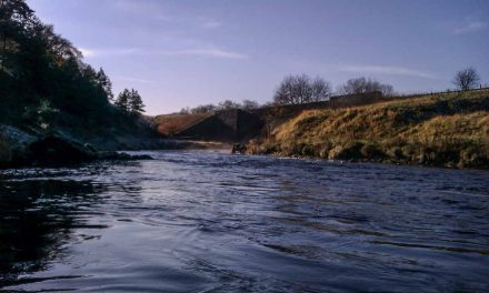 Clyde Winter Grayling I