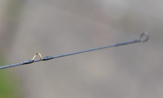 Adams Max Series 10′ 2″ 3# Nymph rod