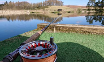 Old Firm Fishing