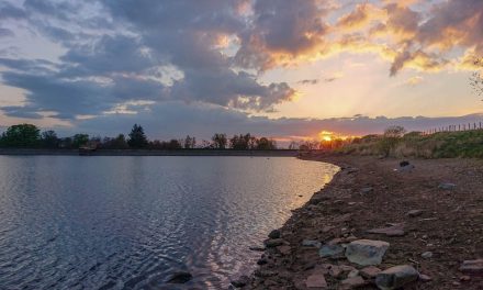 Longer Evenings