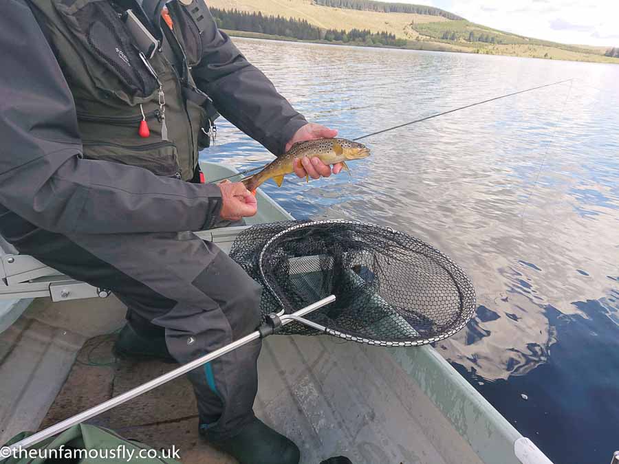 Bill's third fish