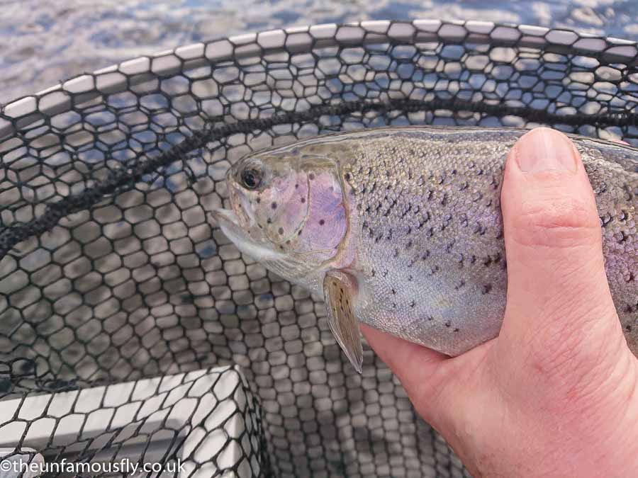 A Carron Rainbow