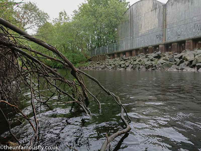 Unusual side of the river
