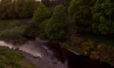 Best Guess on the River Devon