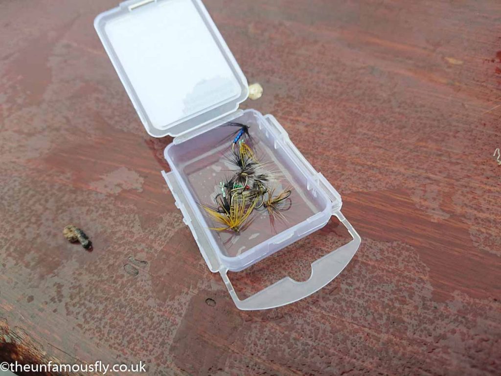 Flies from Tommy