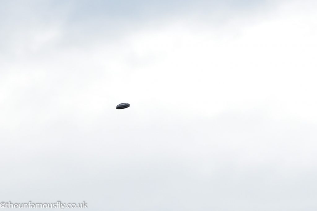 A clay pigeon in the air