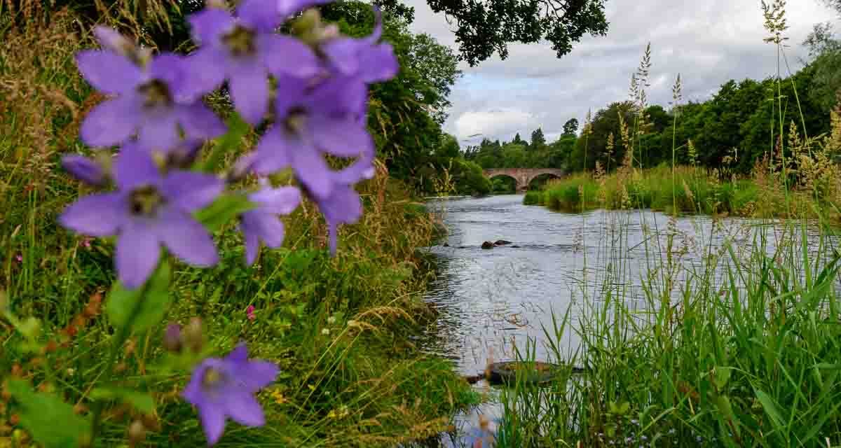 Strathearn: A Kind of Homecoming?