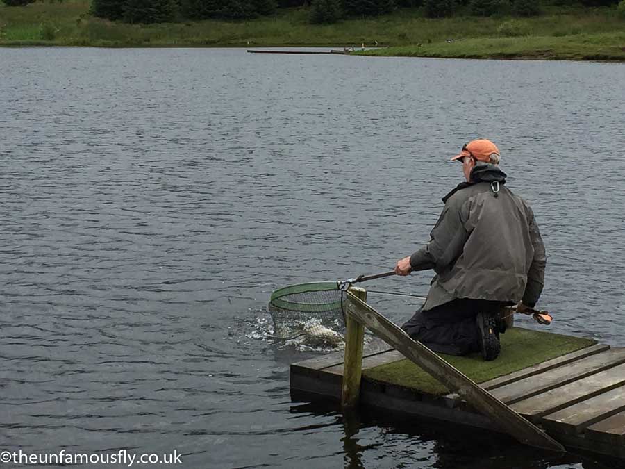 Netting a fish at Faughlin