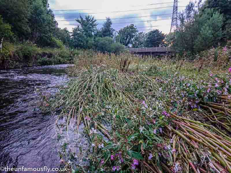 High water on the Carron