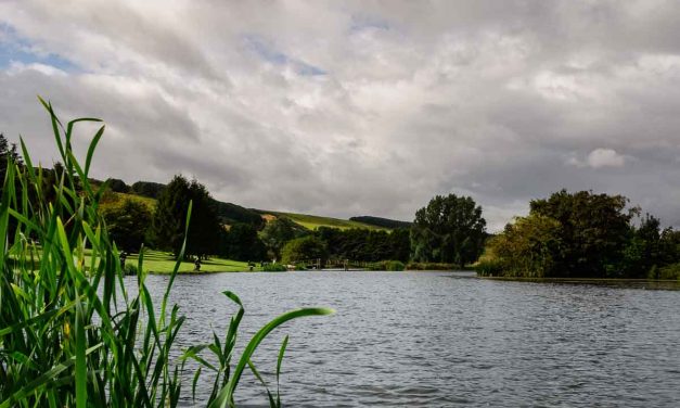Newton Farm Trout Fishery