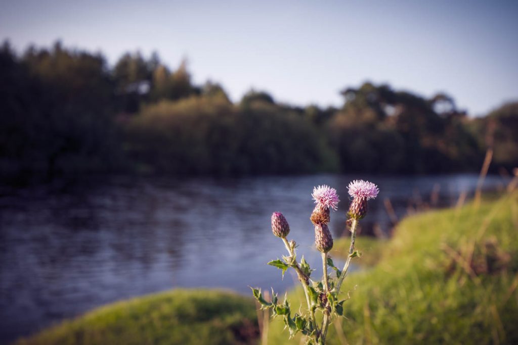 A Scottish River