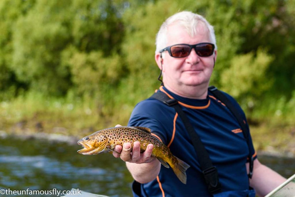 WIld Carron Valley Brown