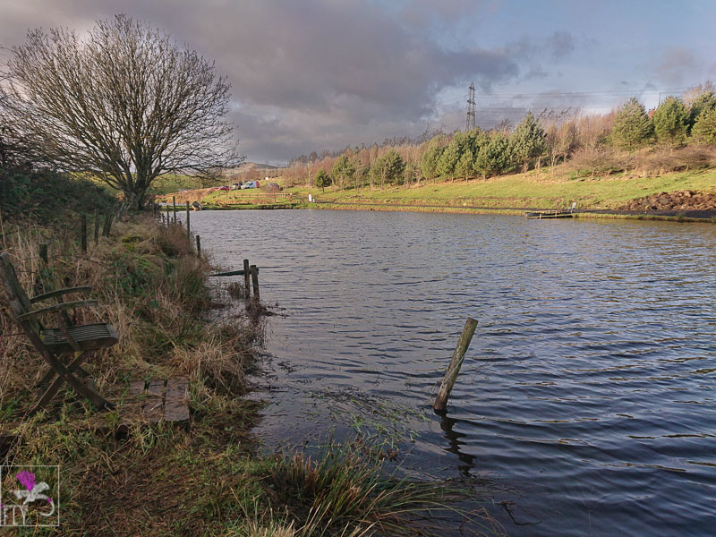 Cloybank