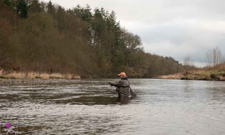 Scratching that Grayling Itch