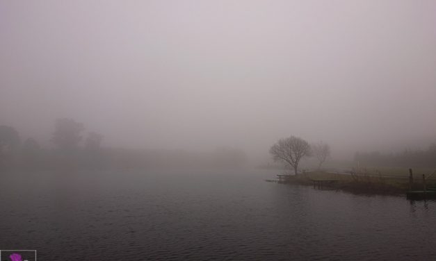 Ahead of Storm Ciara