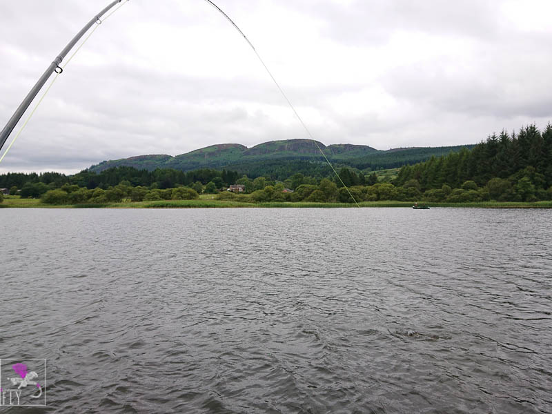 Playing the second fish that snapped my line.