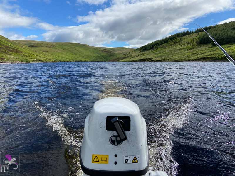 Gas powered outboard at Frandy