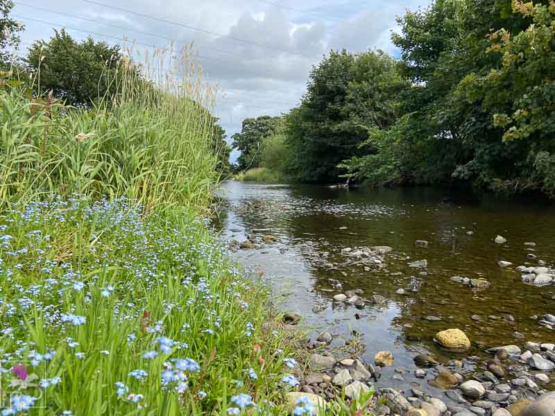 River Carron mid summer on the bank