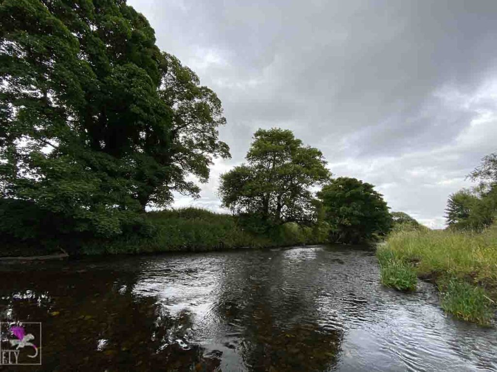 River Carron high banks
