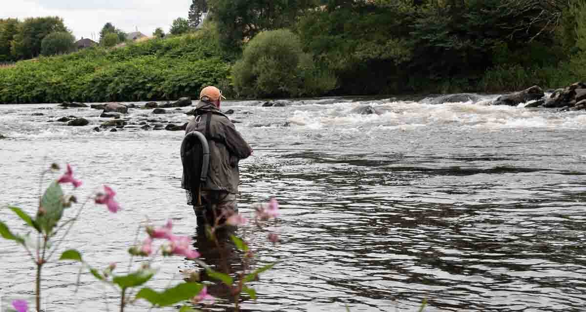Earning A fish- Summer is Gone!