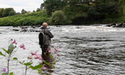 Earning A fish- Summer is Gone!