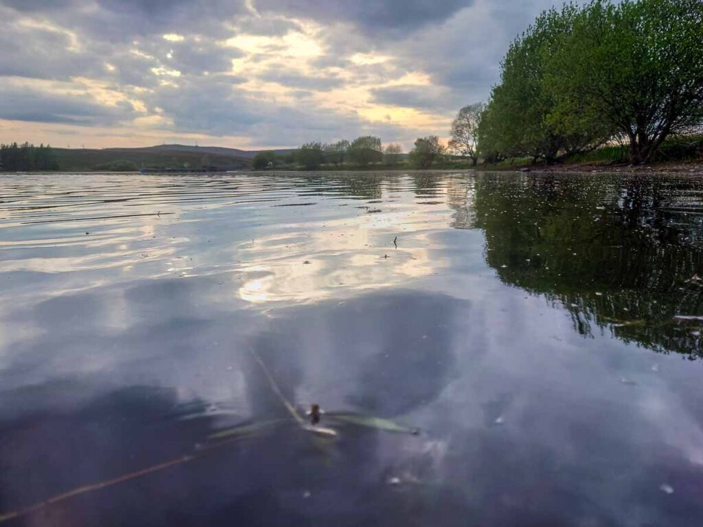 A pleasant enough evening
