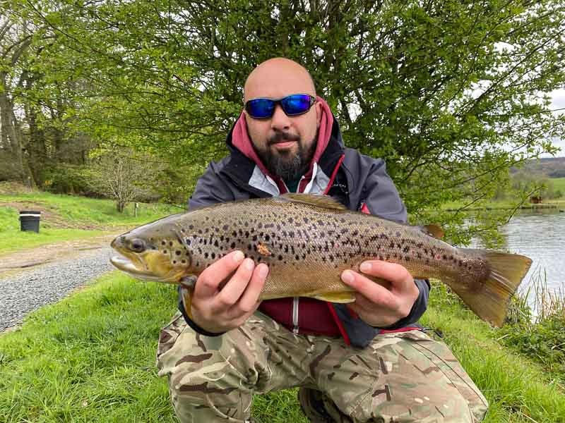 A cracking Swanswater Brown Trout