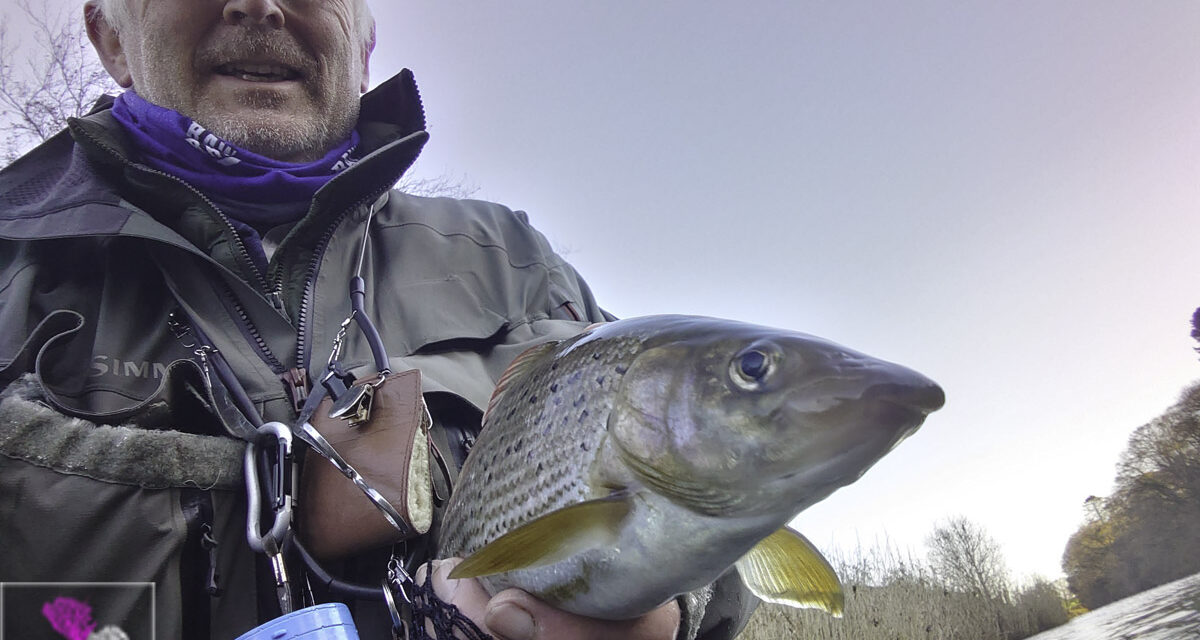 Lucky for Some At Hoddom