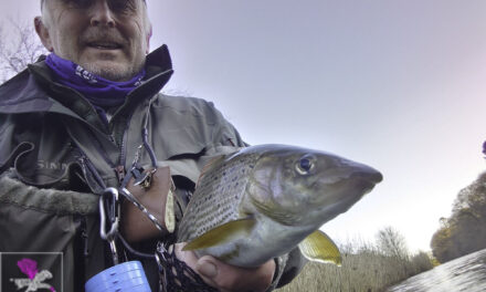 Lucky for Some At Hoddom