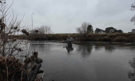 Wild Swimming in Winter