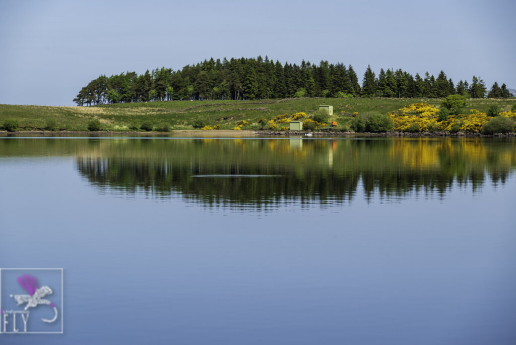 Flat calm at times but fish rising