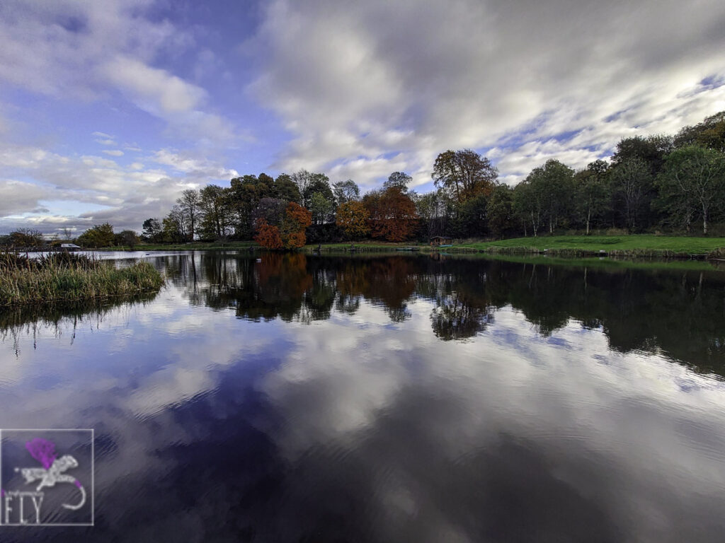 Swanswater Autumn