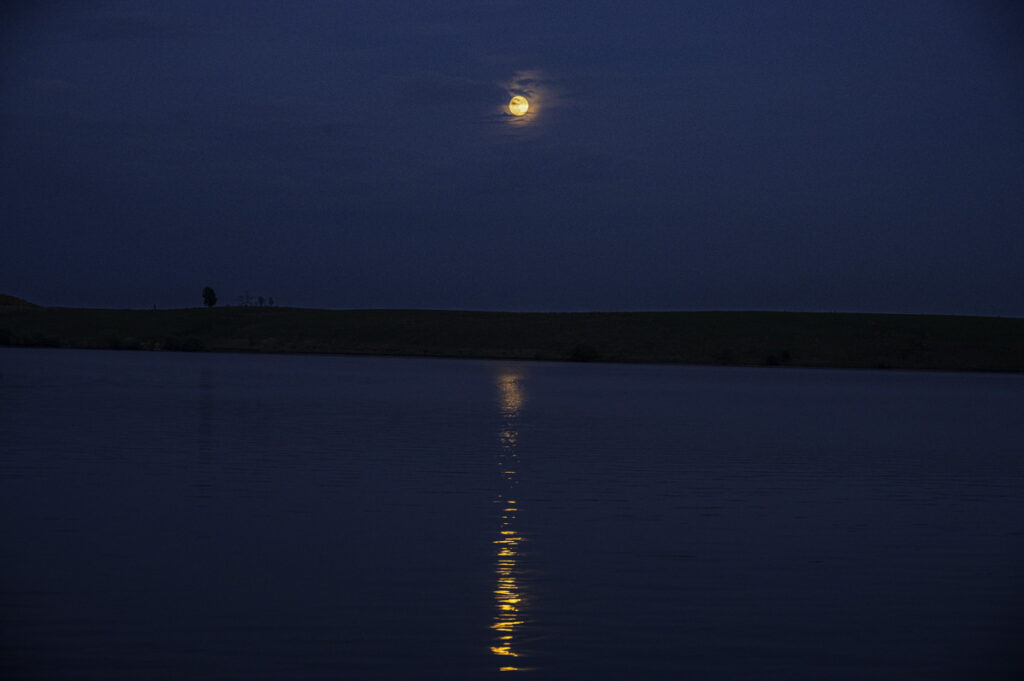 Moonrise over Coulter