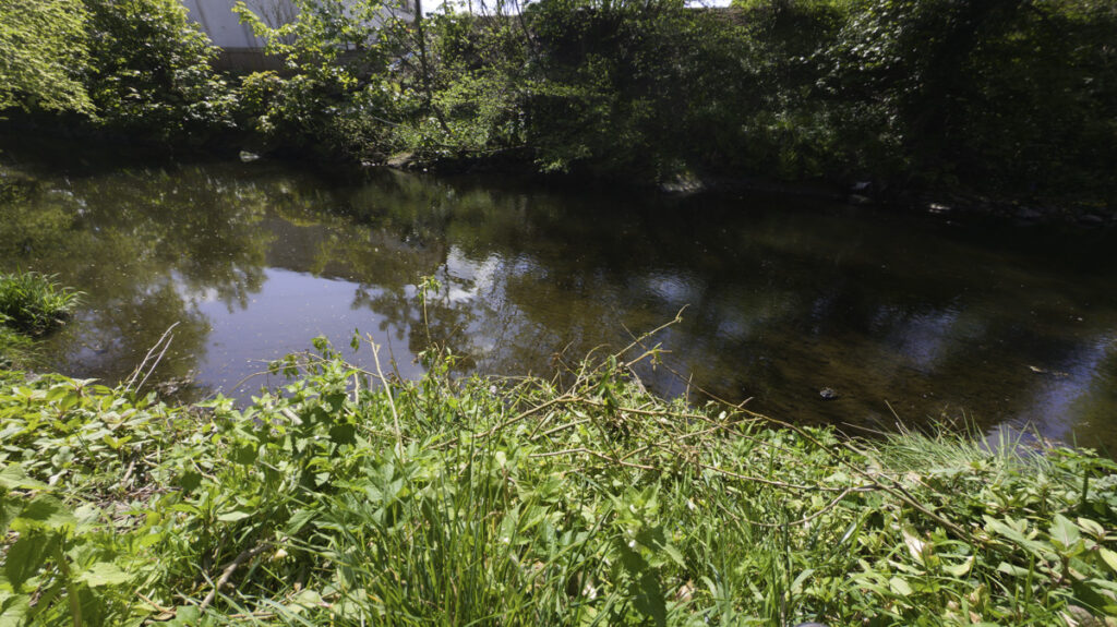 Some very slow water