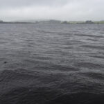 A Rainbow in the Wet