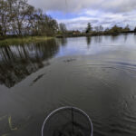 Third Cast Disappointment